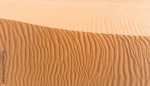 Fototapeta Naklejka Na Ścianę i Meble -  Warm Beige Sand Dune Ripples: An Aerial View