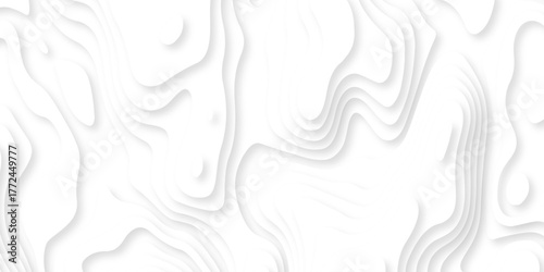 Abstract background vector Abstract wavy line 3d paper cut white background. Abstract pattern with lines. Abstract sea map geographic contour map and topographic contours map background.	