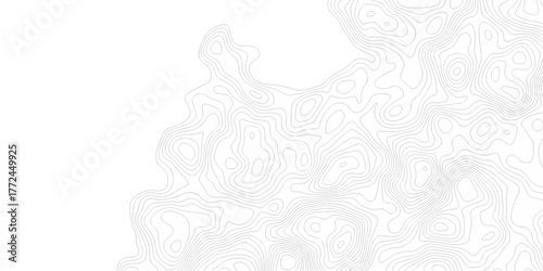 Contour abstract map relief land outline. Topographic map patterns. White wave paper curved reliefs abstract background. Background of the topography map. Abstract pattern with lines.	