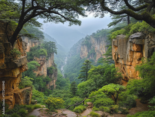 Zhang Jia Jie national fore...