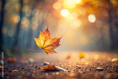 Autumn Leaves Falling Minimalist Nature Photography
