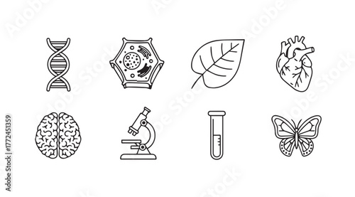 Collection of scientific icons featuring dna brain heart leaf microscope test tube butterfly vector