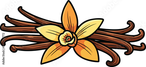Vector illustration of yellow vanilla orchid flower and brown dried vanilla beans on white background
