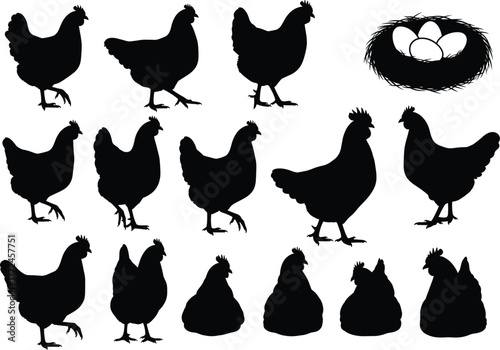 Chicken silhouettes, poultry farm animals, nest with eggs, rural farming scene, vector illustration for agriculture, livestock, food industry, and egg production