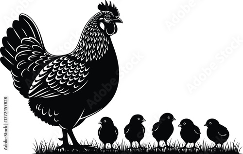 Hen and chicks silhouette, black and white vector, farm animals, mother bird, baby birds, nature scene, countryside, parenting, wildlife, grass