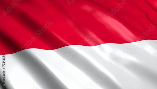 flag of Indonesia