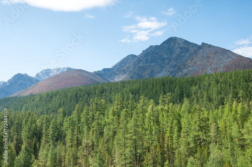 Part of Kuiguk valley with green forests and mountain peaks in the background, Russia, the Altai Republic