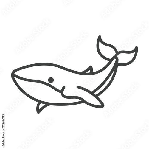 Line art of a whale with tail and fin details
