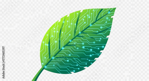 Illustration of a green leaf with a circuit board pattern on a transparent background