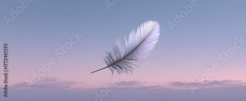 The feather floats gently evoking calmness against the pale sky background