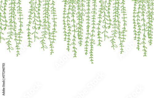 Green Hanging Vines on White Minimalist Botanical Illustratio