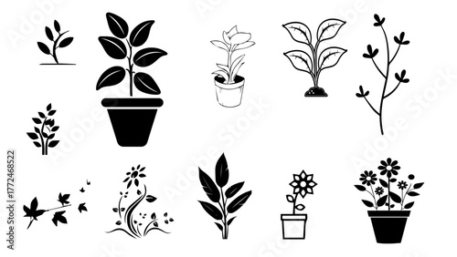 set of plants