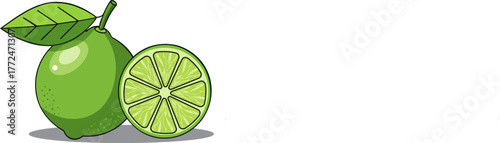 Fresh lime with leaf and slice, vector illustration