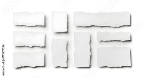 White Ripped Paper Texture Set