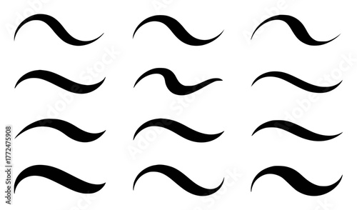 Collection of 12 Black Swirls and Flourishes on a White Background