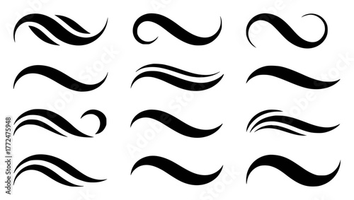 Collection of 12 Black Swirls and Flourishes on White Background