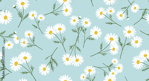 Delicate white daisies with yellow centers and green stems create a charming seamless pattern on a serene light blue background.