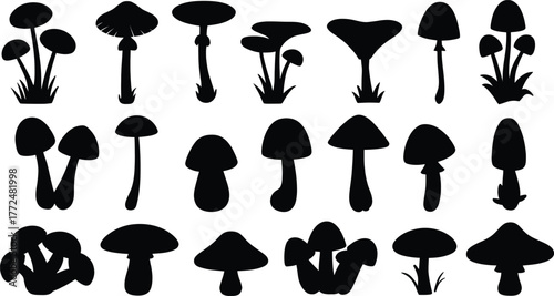 Collection of black mushroom silhouettes on white background fungi