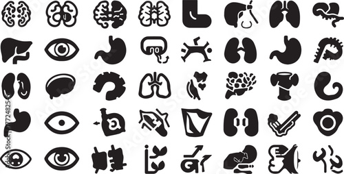 Silhouette Icons of Human Organs and Body Parts Arranged in Rows brain lung
