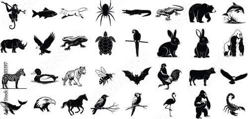 Collection of diverse animal silhouettes on a white background featuring mammals birds reptiles and insects