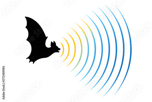 Bat Sonar Waves Illustration with Echolocation Concept