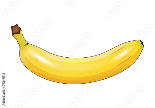 Single Yellow Banana Fruit with Brown Stem Tip Illustration.