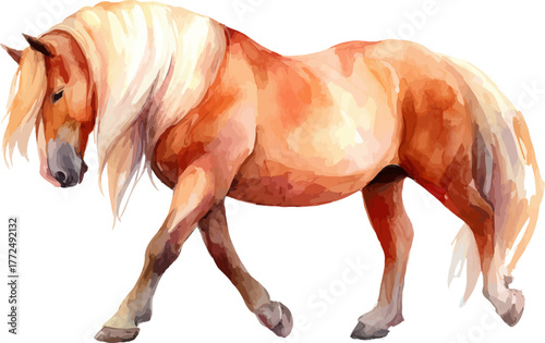 This stock illustration features a charming watercolor depiction of a playful young horse