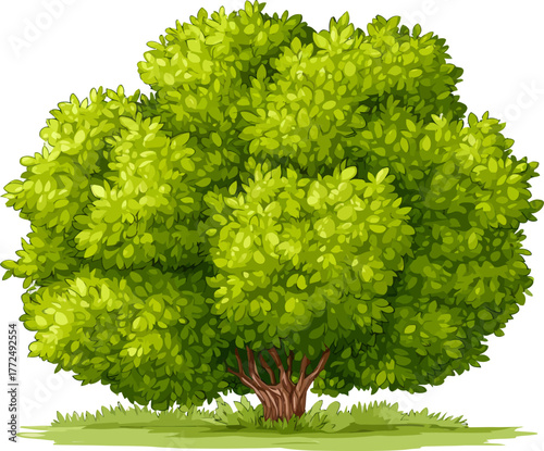 A tree with a sturdy trunk and lush green foliage is juxtaposed against a plain white setting, becoming a powerful emblem of nature's splendor and the vitality of life