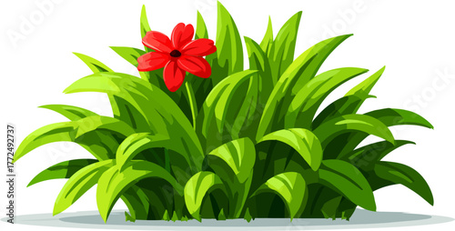 The image depicts a plant with green leaves accompanied by a red flower spike set against a white background