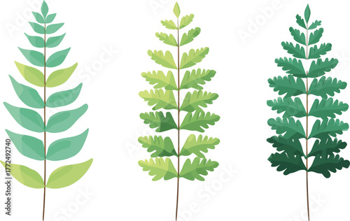 A close-up view of a fern frond reveals the intricate details of its leaves and the delicacy of its stems, all in vibrant green