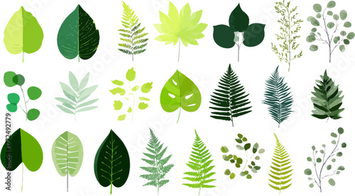 A stylized depiction of a fern frond with lush green leaves is shown against a plain white background