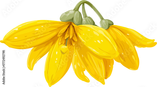 The illustration is a stylized depiction of a bright yellow flower with delicate, flowing petals