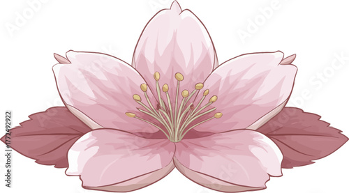 A close-up macro photograph of a solitary pink gerbera daisy with intricate petals, set against a plain white backdrop