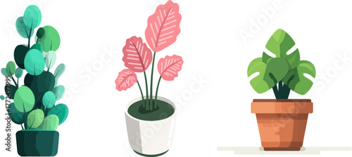 A miniature white flower arranged in a vase on a white article is a symbol of nature's progression and livelihood