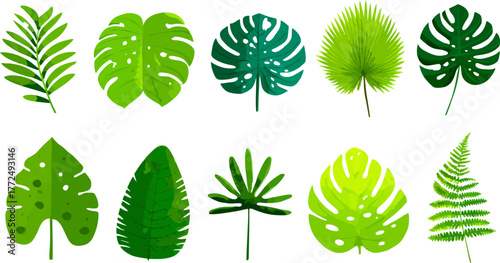 A cluster of leaves with vibrant green hues is situated on a thin stem, representing a natural botanical element