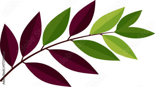 A white background serves as the setting for a branch adorned with green and reddish-colored leaves
