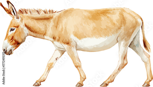 The stock illustration features a smiling donkey doll created in watercolor