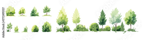 Vector watercolor green lush or forest side view isolated on white background for landscape and architecture drawing,elements for environment or and garden,Shrub for section