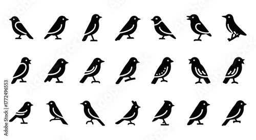 Collection of small songbird silhouettes. Simple black and white vector icon set for nature and wildlife themes