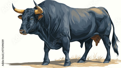 Vector illustration of a bull isolated on a white background