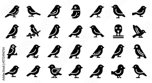 Collection of thirty minimalist bird vector icons. Simple black silhouettes of sparrows, finches, and other small birds for universal symbols kufu (888)