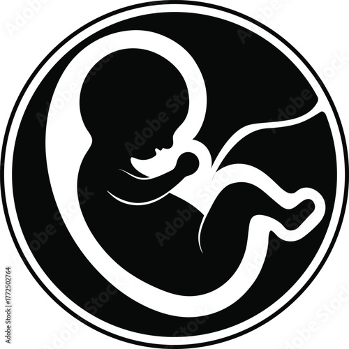 Fetus Silhouette: Life in the Womb