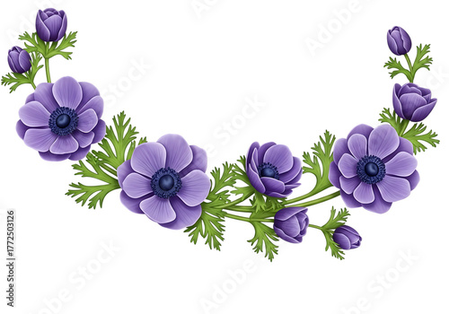 Beautiful purple anemone flowers arranged in a delicate garland design isolated on transparent background
