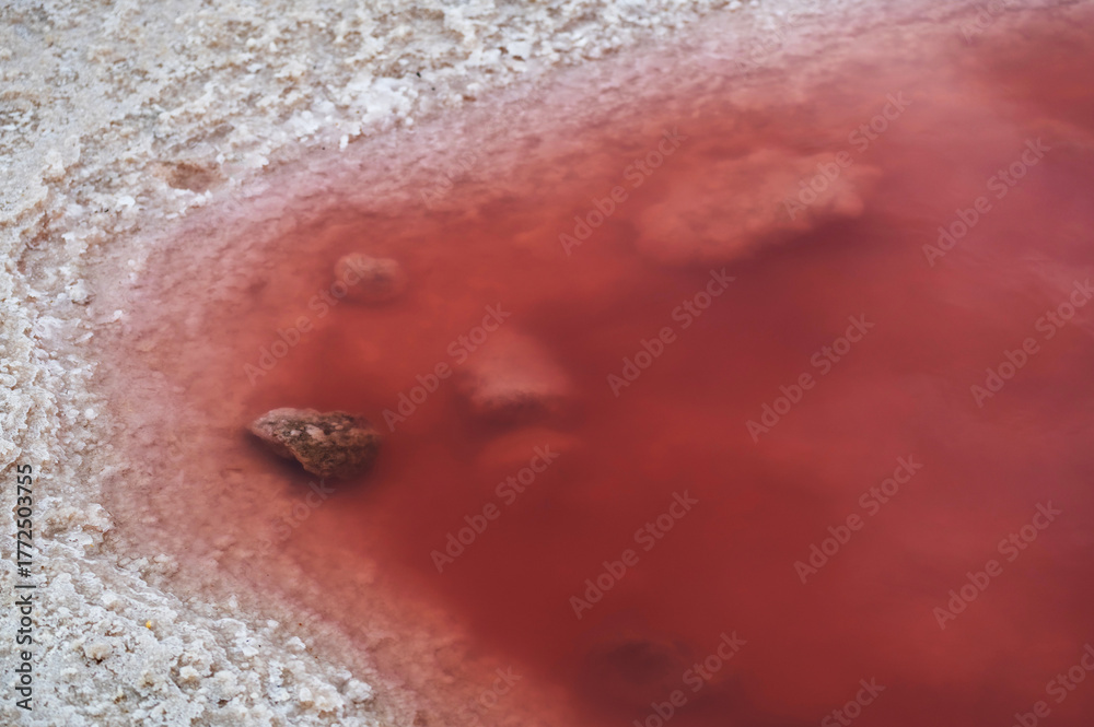 Fototapeta premium Salines en Namibie