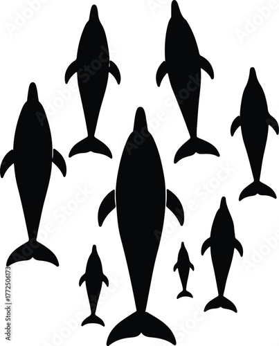 Silhouette of playful dolphins swimming together marine life vector illustration
