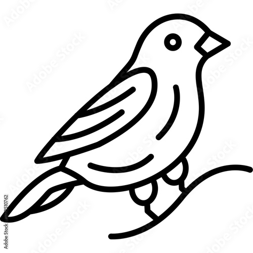 Canary Icon