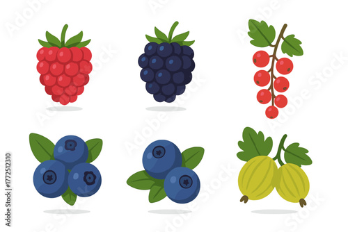 Collection of six garden berries: raspberry, blackberry, red currant, blueberry, and gooseberry
