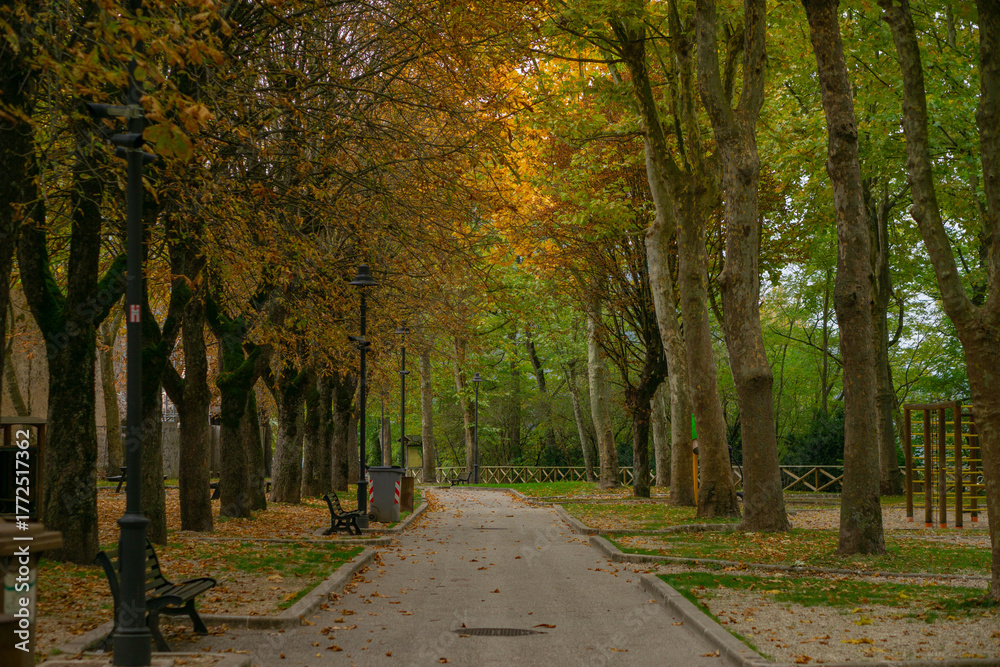 Fototapeta premium Foliage-Filled Park in Norcia Italy During Autumn