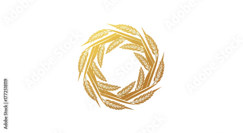 wheat ears on white background