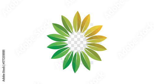 Yellow lily flower vector illustration isolated on white background with green leaf and blossom silhouette